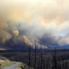 ‘It’s bad’: How drought, lack of snowpack and federal cuts could spell wildfire disaster in NM